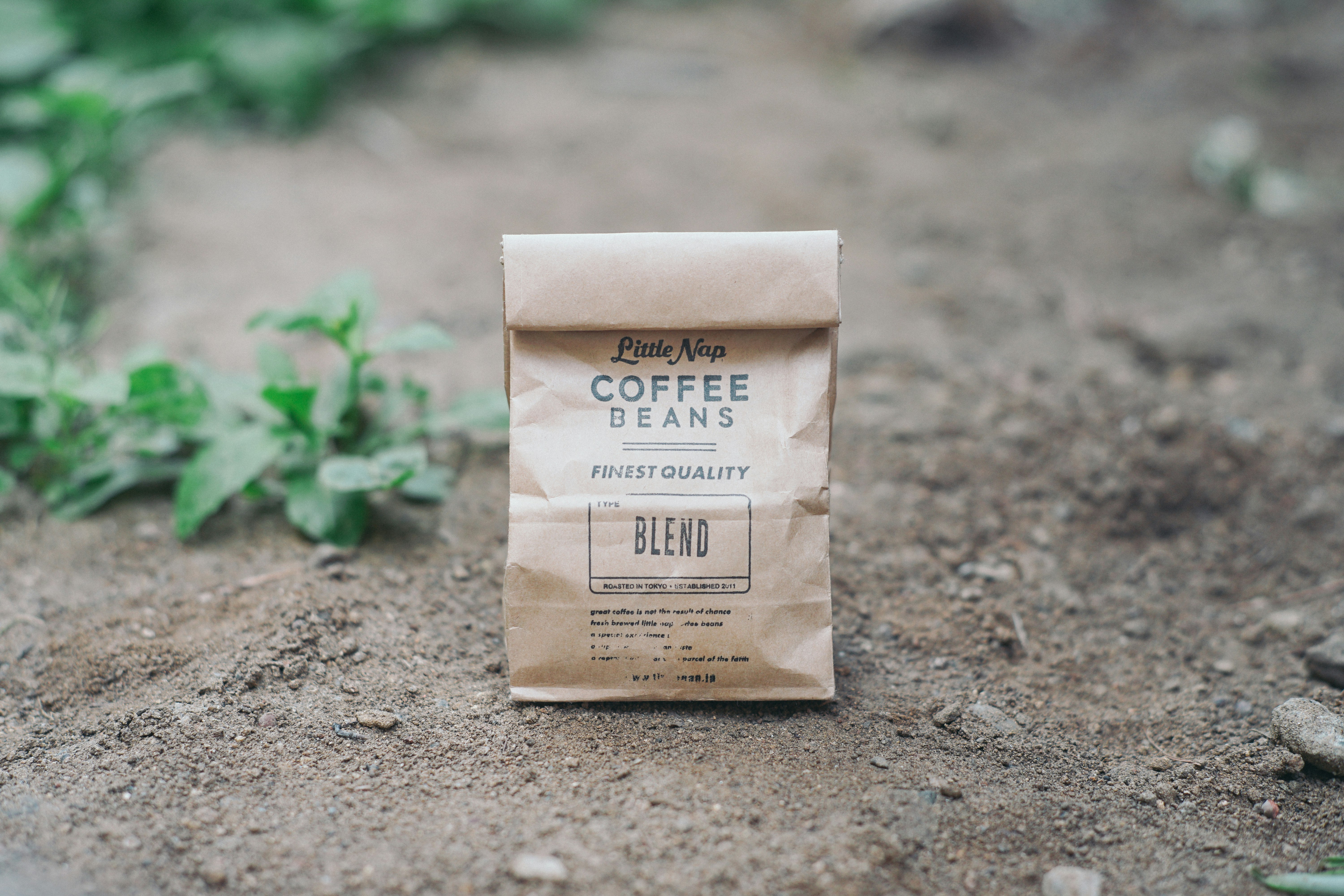 Coffee Beans blend paper bag on ground